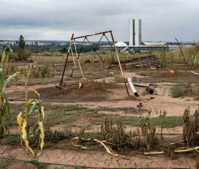 Horta urbana abandonada em Brasília, com plantas secas e estruturas danificadas, ilustrando falhas crônicas na agricultura urbana.