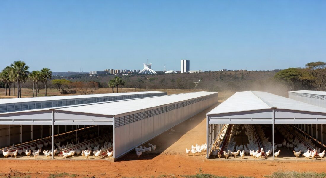 Mesa de almoço com pratos avícolas em homenagem no Distrito Federal, Brasília.
