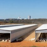Mesa de almoço com pratos avícolas em homenagem no Distrito Federal, Brasília.