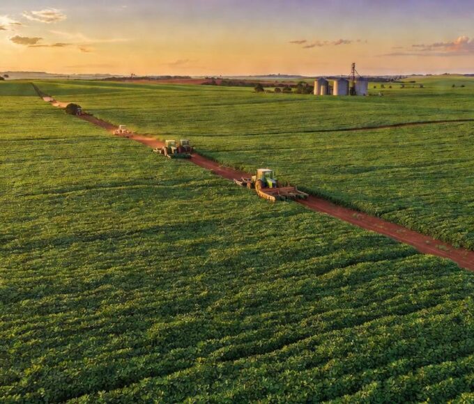 Plantação de soja no cerrado do DF representando crédito rural e contas públicas