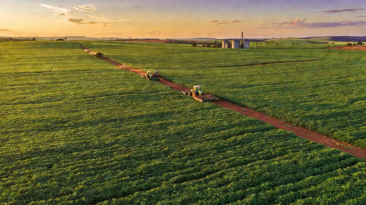 Plantação de soja no cerrado do DF representando crédito rural e contas públicas