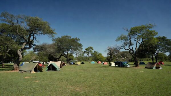 Colônia de férias em área de cerrado no Distrito Federal