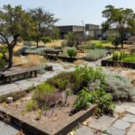 Espaço vazio para jardim terapêutico em Brasília sem implantação