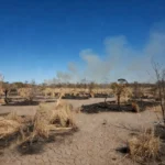 Paisagem do Cerrado seco no Distrito Federal com fumaça de incêndios durante a seca